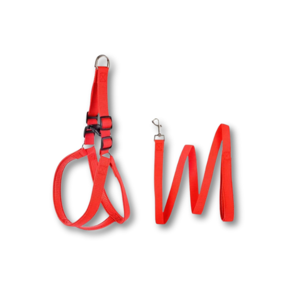 Saas Dog Harness+Leassh 1014