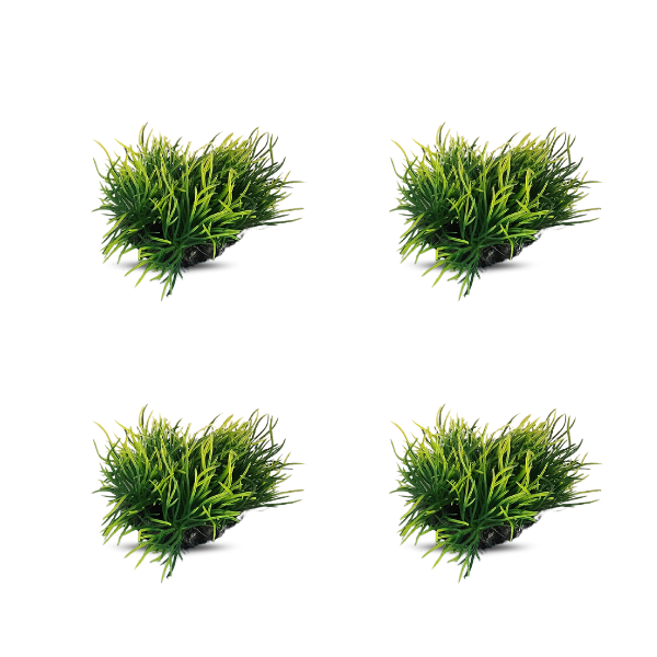 tank decoration plants 10*15cm 4pcs/bag