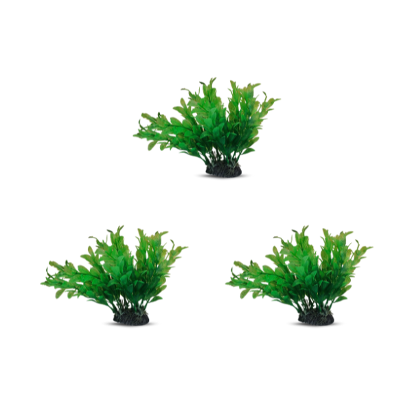 tank decoration plants 10*15cm 3pcs/bag