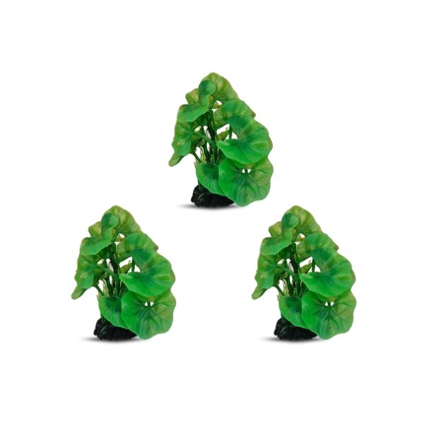 tank decoration plants 10*15cm 3pcs/bag