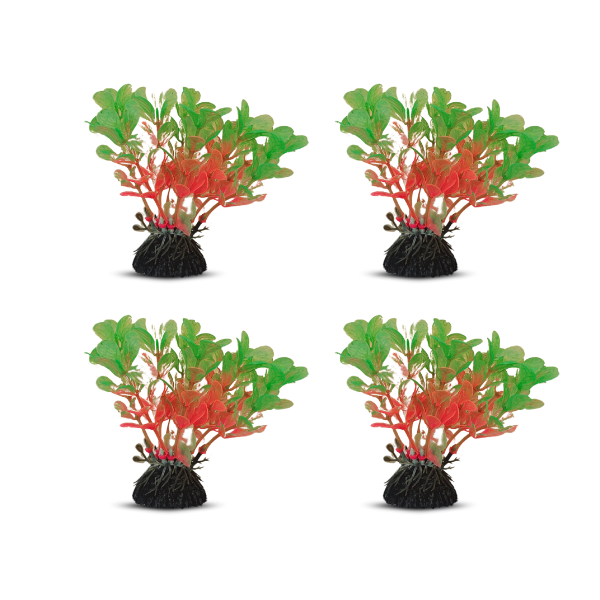 tank decoration plants 10*15cm 4pcs/bag