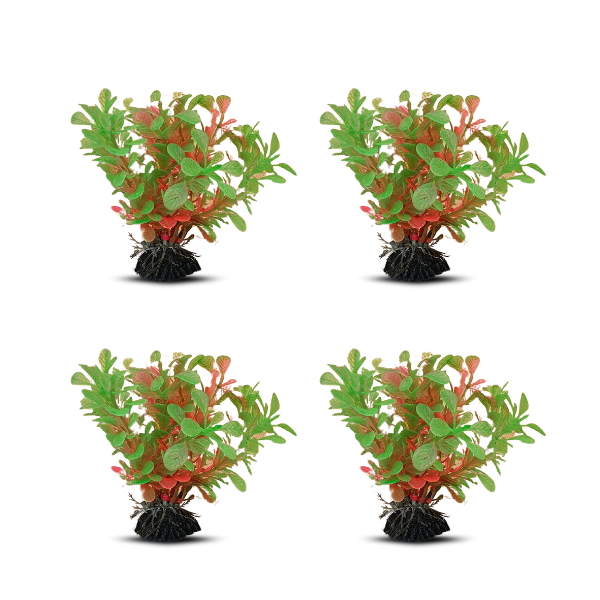 tank decoration plants 10*15cm 4pcs/bag