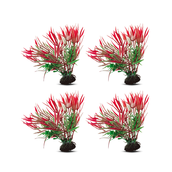 tank decoration plants 10*15cm 4pcs/bag