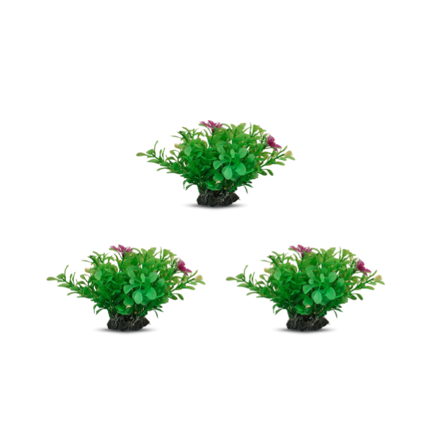 tank decoration plants 10*15cm 3pcs /bag