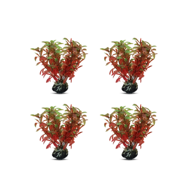 tank decoration plants 10*15cm 4pcs/bag