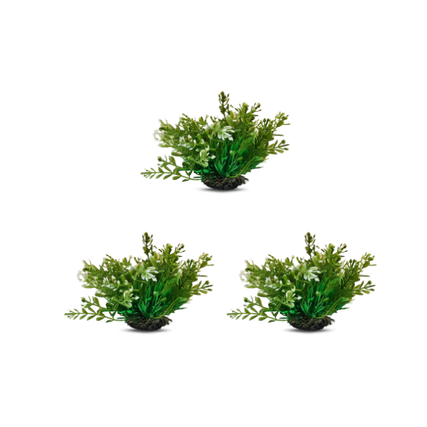 tank decoration plants 10*15cm 3pcs/bag
