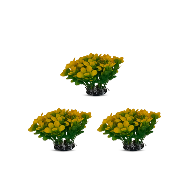 tank decoration plants 10*15cm 3pcs/bag