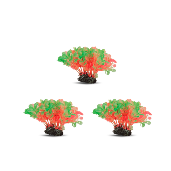 tank decoration plants 10*15cm 3pcs/bag