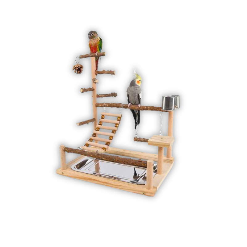 Saas Parrot Wood Stand Toy 37X26X45Cm