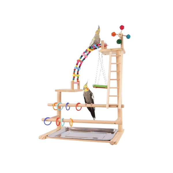 Saas Parrot Wood Stand Toy 46X31X70Cm