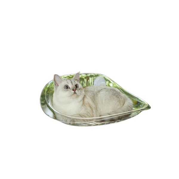 Cat Glass Type Hammock 50*30.5*20