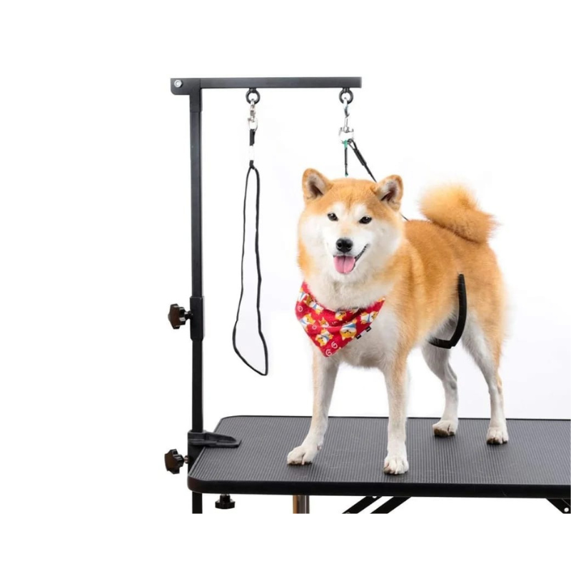 Pet Grooming Loop