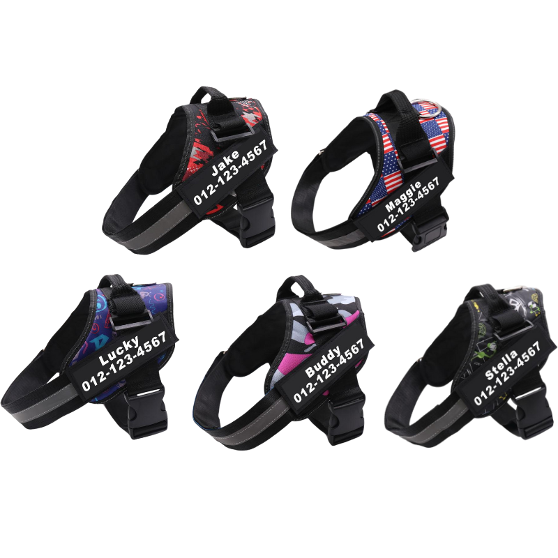 Pet K9 Harness Medium Assorted