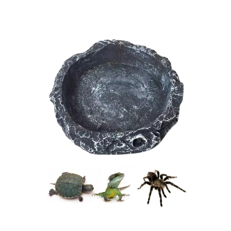 Tortoise Feeders Resin 8*8*2