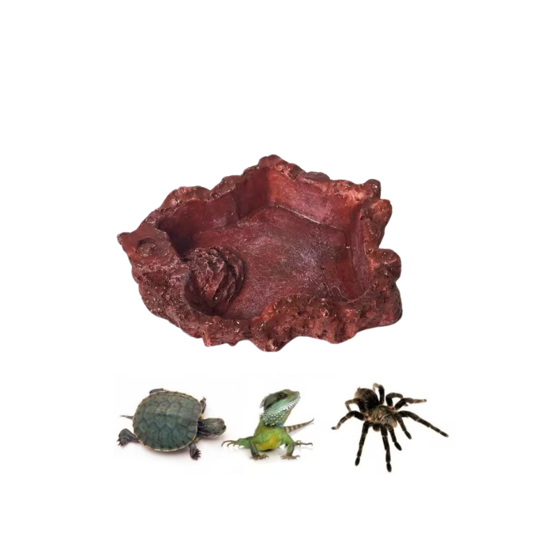 Tortoise Feeders Resin 9*6*2