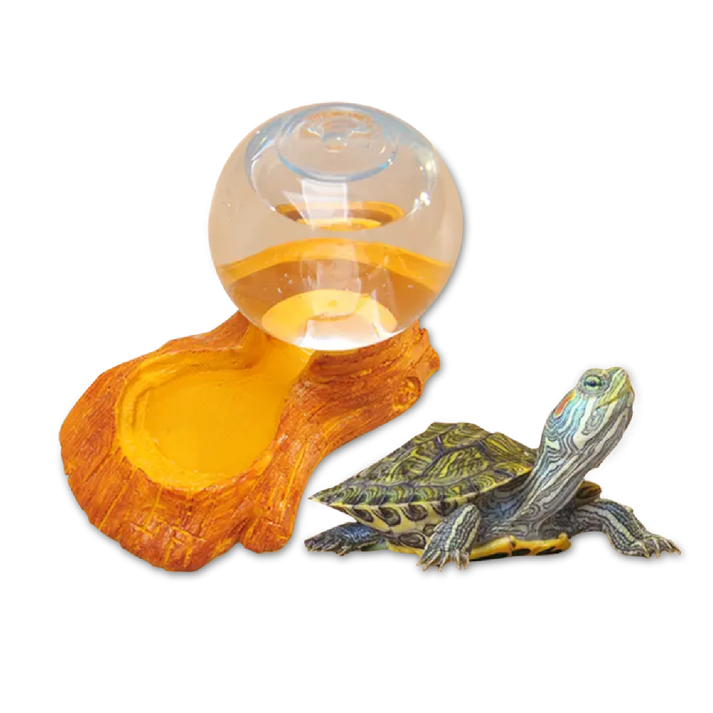 Saas  Tortoise Water Feeder 200 ML