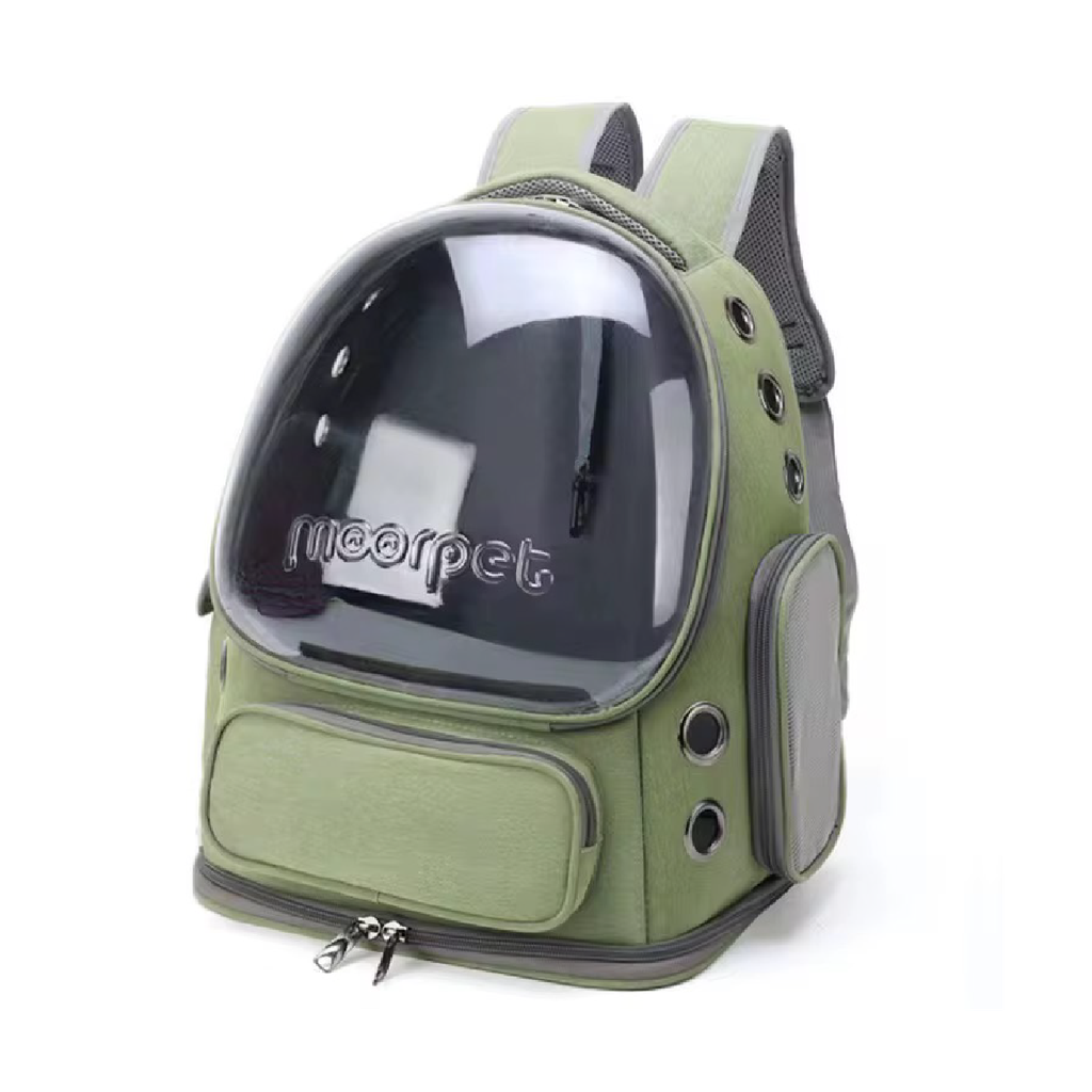 Saas Luxury Pet Carrier Bag 34x27x42 CM Green
