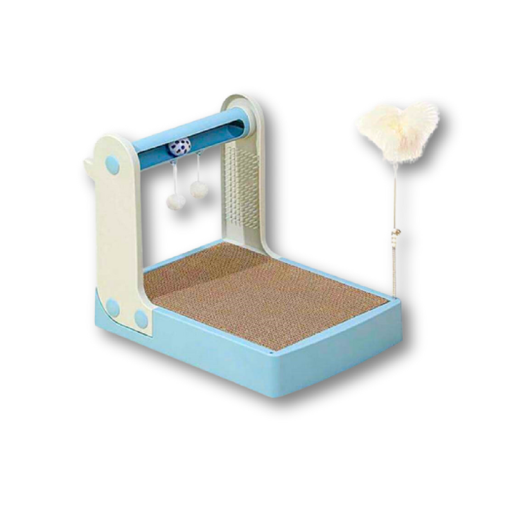 Saas Cat Playing Toy With Scratcher Blue