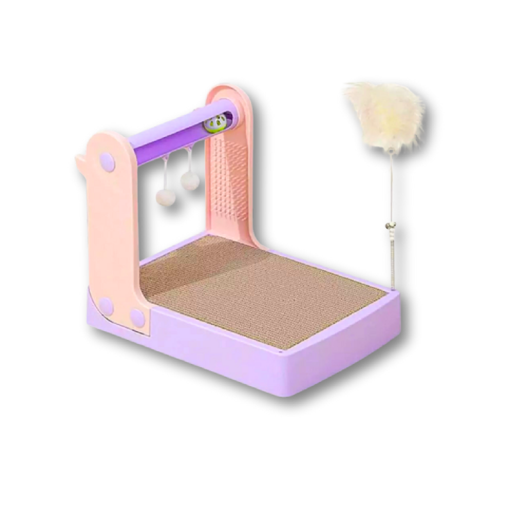 Saas Cat Playing Toy With Scratcher Purple