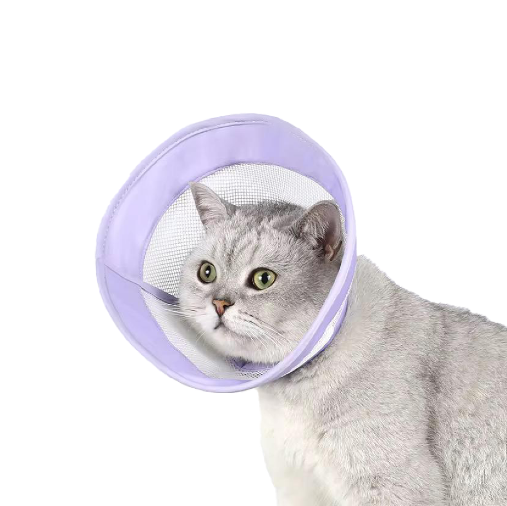 Saas Cat Elizabeth Collar S 18 X 24 CM