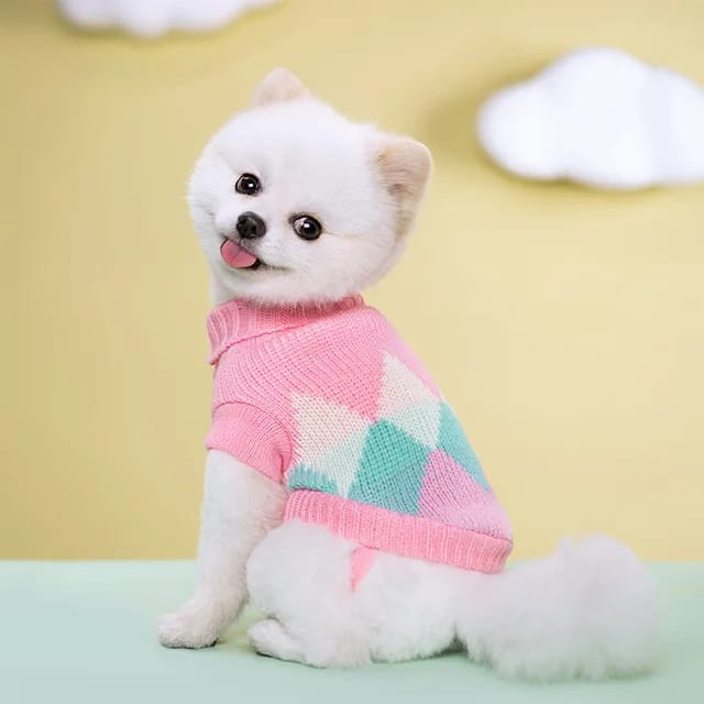 Saas Pet Sweater