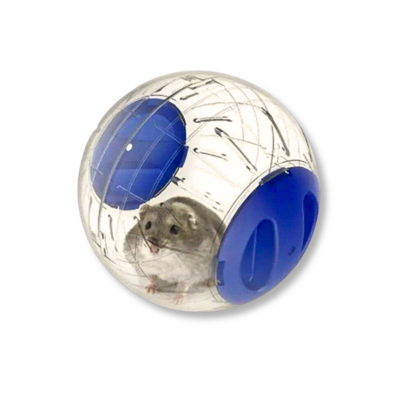 Saas Hamster Crystal Ball 12.5Cm-Blue