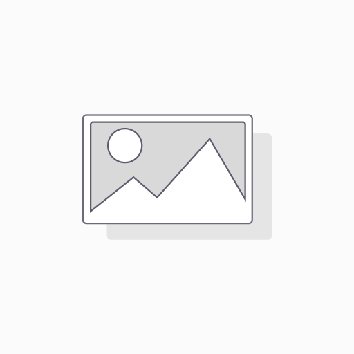 Pet Triangle Collar