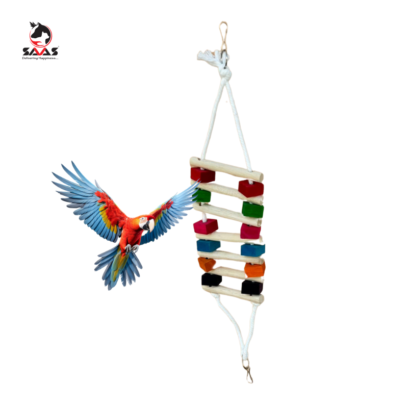 Bird Rope Cradle & Food  Colored Toy 12*56cm