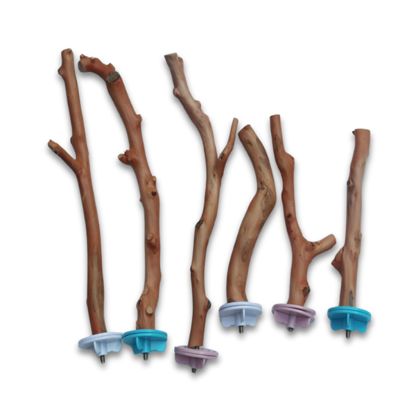 Parrots Standing Stick 20cm