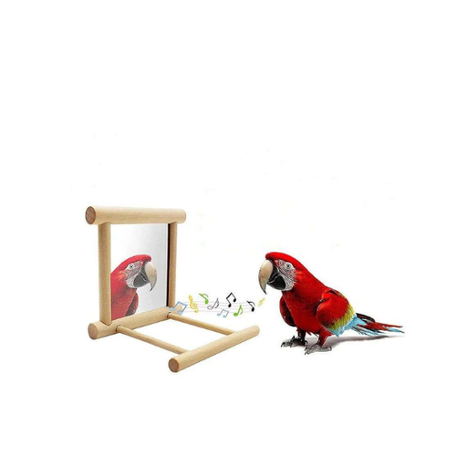 [SA2175] Saas Mirror Bird Toy 10X10X10 Cm