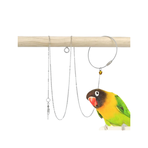 [SA3367] Parrots Anti-Flying Foot Chain 50cm Long size #6