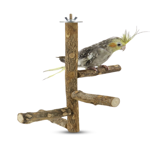 [SA3393] Parrots Standing Stick 25*12.8